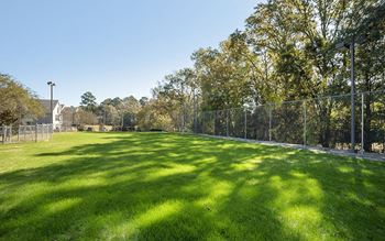 Pet friendly with dog park
